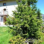 Apartmán Toilain *